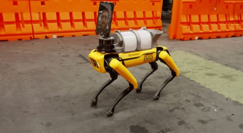 進擊的機器狗 醞釀 起勢 掙扎